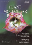 2000 Plant Molecular Biology Cover